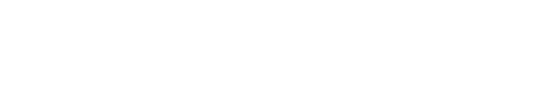 Turbo flare Logo